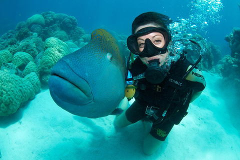 Great Barrier Reef Diving And Snorkeling Cruise From Cairns - Lightning Ridge Tourism 2
