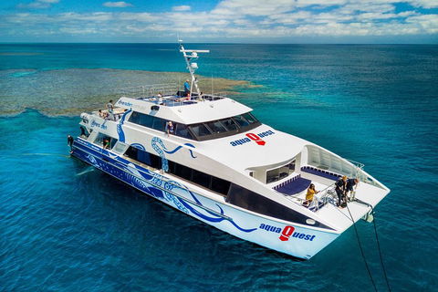 Great Barrier Reef Diving And Snorkeling Cruise From Cairns - Lightning Ridge Tourism 5