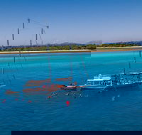 Ocean Free Green Island  Great Barrier Reef Snorkel Cruise Cairns 25 guests - Lightning Ridge Tourism