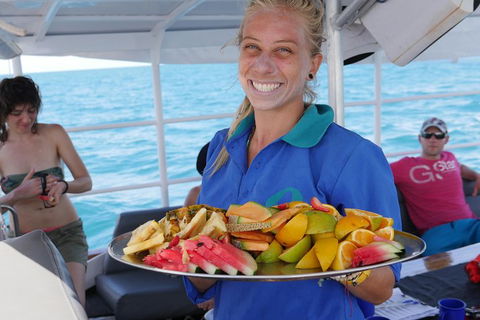 Ocean Free Green Island & Great Barrier Reef Snorkel Cruise, Cairns 25 Guests - Lightning Ridge Tourism 1