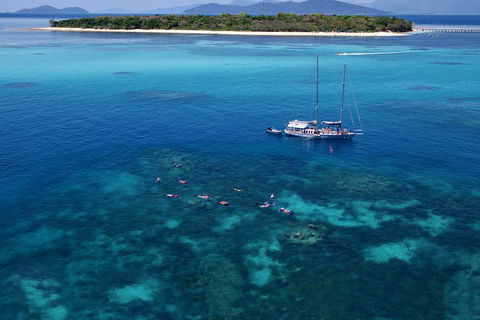 Ocean Free Green Island & Great Barrier Reef Snorkel Cruise, Cairns 25 Guests - Lightning Ridge Tourism 2