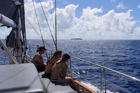 Ocean Free Green Island & Great Barrier Reef Snorkel Cruise, Cairns 25 Guests - Lightning Ridge Tourism 4