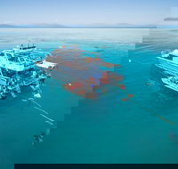 Ocean Freedom Great Barrier Reef Personal Luxury Snorkel  Dive Cruise Cairns - Lightning Ridge Tourism