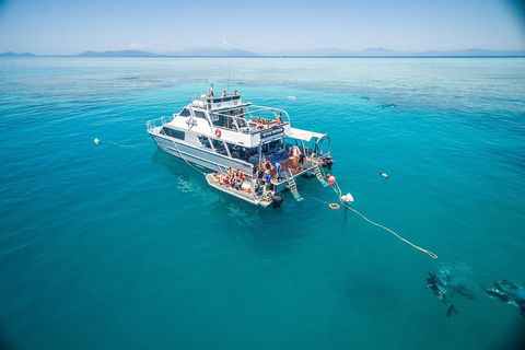 Ocean Freedom Great Barrier Reef Personal Luxury Snorkel & Dive Cruise, Cairns - Lightning Ridge Tourism 0