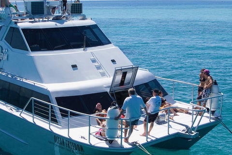 Ocean Freedom Great Barrier Reef Personal Luxury Snorkel & Dive Cruise, Cairns - Lightning Ridge Tourism 1