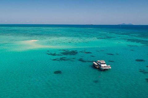 Ocean Freedom Great Barrier Reef Personal Luxury Snorkel & Dive Cruise, Cairns - Lightning Ridge Tourism 2