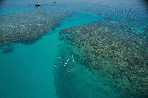 Ocean Freedom Great Barrier Reef Personal Luxury Snorkel & Dive Cruise, Cairns - Lightning Ridge Tourism 3