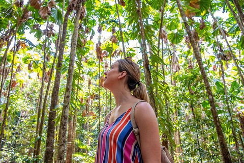 5 Day Australia Retreat: Queensland Daintree - Lightning Ridge Tourism 0