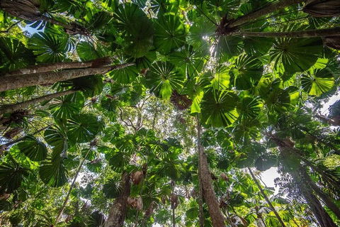 5 Day Australia Retreat: Queensland Daintree - Lightning Ridge Tourism 2