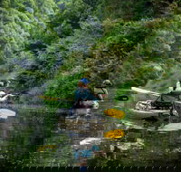 Byron Bay Rainforest Fishing - Lightning Ridge Tourism