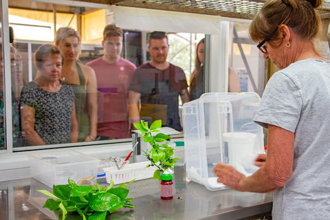 Australian Butterfly Sanctuary - Lightning Ridge Tourism 5