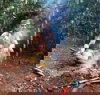 Kuranda Highlights including Rainforestation Aboriginal Culture and Wildlife - Lightning Ridge Tourism