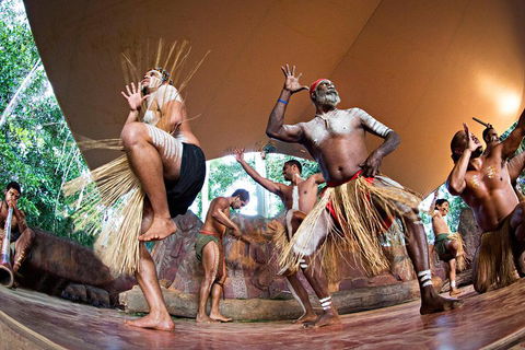 Kuranda Highlights Including Rainforestation Aboriginal Culture And Wildlife - Lightning Ridge Tourism 1