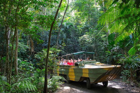 Kuranda Highlights Including Rainforestation Aboriginal Culture And Wildlife - Lightning Ridge Tourism 2