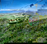 Best of Kuranda Including Skyrail Kuranda Scenic Railway and Rainforestation - Lightning Ridge Tourism