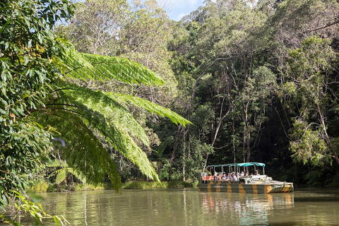 Best Of Kuranda Including Skyrail, Kuranda Scenic Railway And Rainforestation - Lightning Ridge Tourism 5