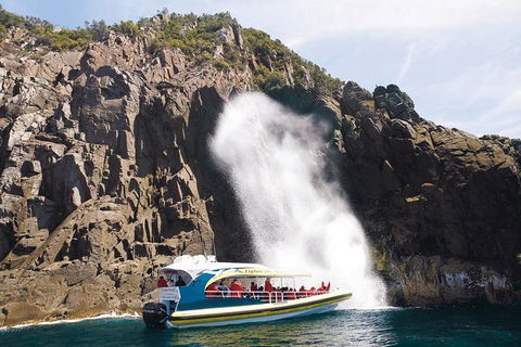 Full-Day Bruny Island Cruises Day Tour From Hobart - Lightning Ridge Tourism 4