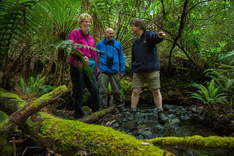 Bruny Island Traveller - Gourmet Tasting And Sightseeing Day Trip From Hobart - Lightning Ridge Tourism 1