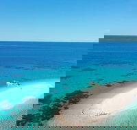 Ocean Safari Great Barrier Reef Experience in Cape Tribulation - Lightning Ridge Tourism