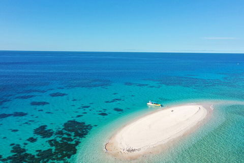 Ocean Safari Great Barrier Reef Experience In Cape Tribulation - Lightning Ridge Tourism 0