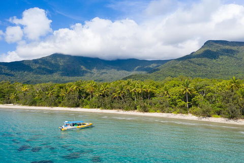 Ocean Safari Great Barrier Reef Experience In Cape Tribulation - Lightning Ridge Tourism 2