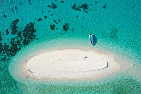 Ocean Safari Great Barrier Reef Experience In Cape Tribulation - Lightning Ridge Tourism 3