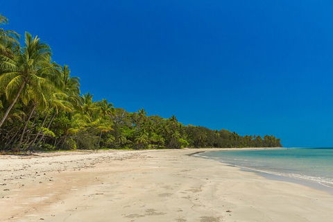 Ocean Safari Great Barrier Reef Experience In Cape Tribulation - Lightning Ridge Tourism 4