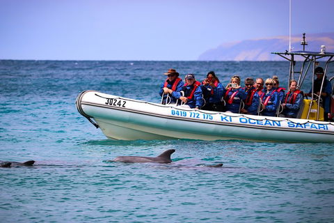 Kangaroo Island 75-Minute Ocean Safari - Lightning Ridge Tourism 4