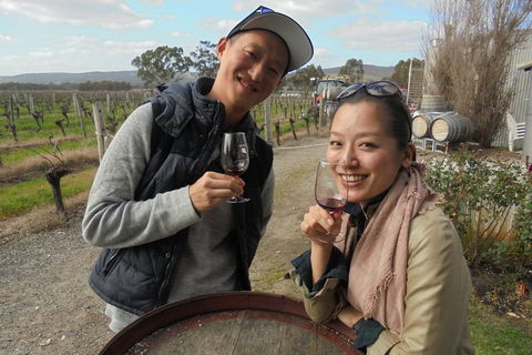 Swan Valley River Cruise And Wine Tasting Day Trip From Perth - Lightning Ridge Tourism 0