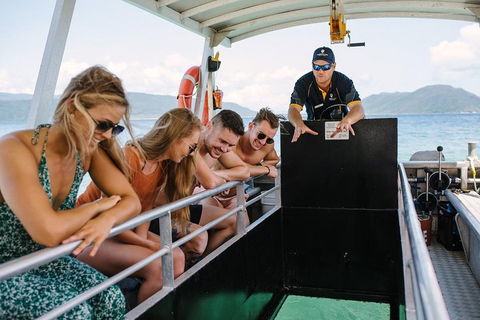 Fitzroy Island Day Trip From Cairns - Lightning Ridge Tourism 4