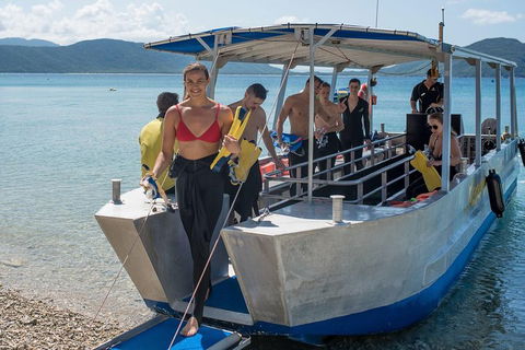 Fitzroy Island Day Trip From Cairns - Lightning Ridge Tourism 5