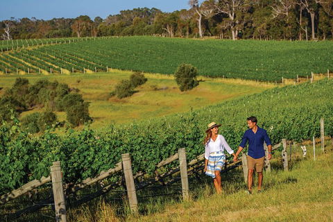 10 Day Perth To Adelaide Private Tour - The Great Australian Wilderness Journey - Lightning Ridge Tourism 0