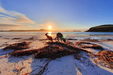 10-Day Perth To Adelaide Adventure Tour - Lightning Ridge Tourism 1