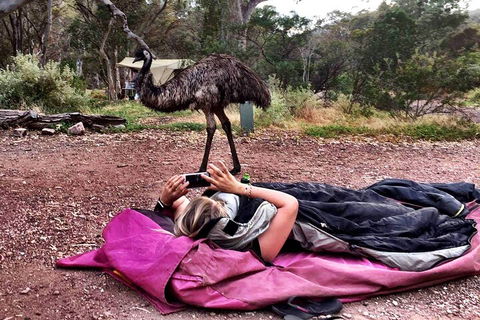 6 Day Esperance & Margaret River Adventure Tour - Lightning Ridge Tourism 5