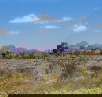 Overnight Uluru Ayers Rock Small-Group Camping Tour - Lightning Ridge Tourism
