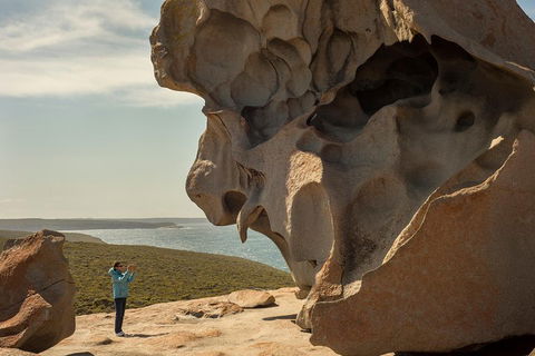 Kangaroo Island In A Day Tour From Adelaide - Lightning Ridge Tourism 5