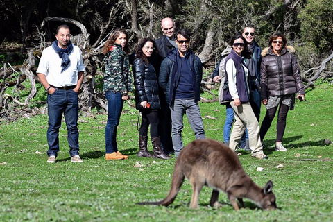 2-Day Kangaroo Island 4WD Small-Group Tour From Adelaide - Lightning Ridge Tourism 1