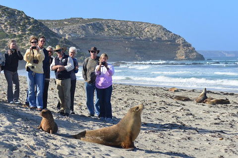 2-Day Kangaroo Island 4WD Small-Group Tour From Adelaide - Lightning Ridge Tourism 3