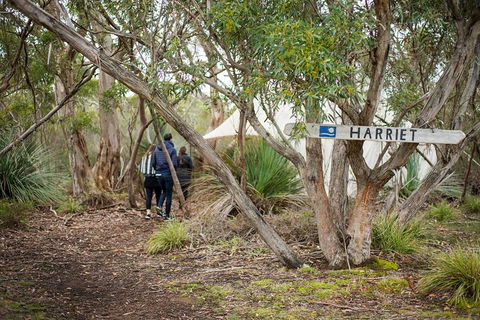 2-Day Kangaroo Island 4WD Small-Group Tour From Adelaide - Lightning Ridge Tourism 5