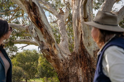 NEW TOUR - Kangaroo Island Road To Recovery Tour (1 Day/1 Night) - Lightning Ridge Tourism 0