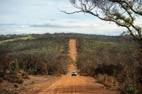 NEW TOUR - Kangaroo Island Road To Recovery Tour (1 Day/1 Night) - Lightning Ridge Tourism 2
