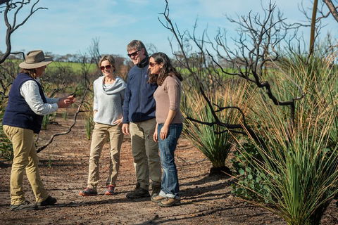 NEW TOUR - Kangaroo Island Road To Recovery Tour (1 Day/1 Night) - Lightning Ridge Tourism 4