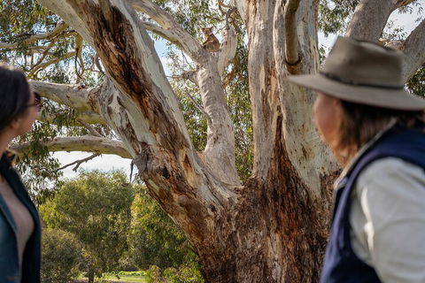 Full Day Flinders Chase Tour From Kangaroo Island - Lightning Ridge Tourism 5