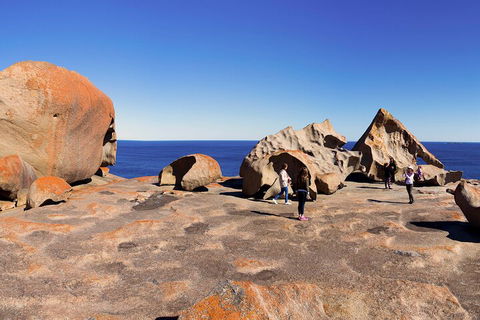 Full-Day Kangaroo Island Experience Departing From Kangaroo Island - Lightning Ridge Tourism 4