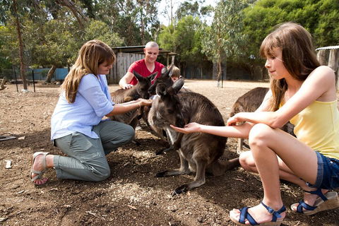Full-Day Kangaroo Island Experience Departing From Kangaroo Island - Lightning Ridge Tourism 5