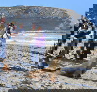 Full day Seal Bay Experience departing from Kangaroo Island - Lightning Ridge Tourism