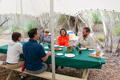 Full Day Seal Bay Experience Departing From Kangaroo Island - Lightning Ridge Tourism 1