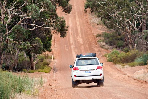 Full Day Seal Bay Experience Departing From Kangaroo Island - Lightning Ridge Tourism 2