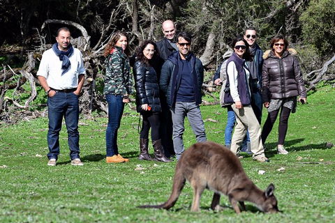Full Day Seal Bay Experience Departing From Kangaroo Island - Lightning Ridge Tourism 3