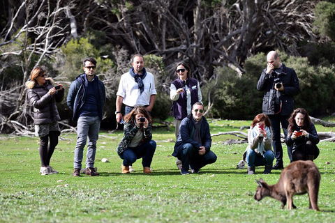 Small-Group Kangaroo Island 4WD Tour From Adelaide - Lightning Ridge Tourism 2